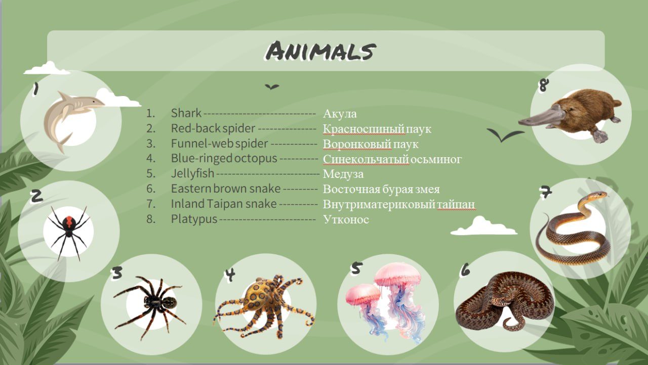 Слайд урока английского: Animals — новая лексика с картинками и переводом